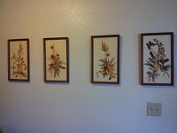 2015-05-10 11.06.36 : Birgit Cier, Cier Family, Pheonix, AZ